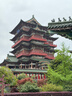 神根（SHENGEN）金门一条根精油贴布中国台湾原装金牌筋骨膝盖肩周膏药贴 龙牌5片 实拍图