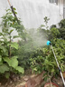 锂电池电池喷雾器专用蓄电池12V大容量农用电瓶背负式配件 12V20AH【动力电芯】 锂电池+免焊线+品口锂电充电器 实拍图