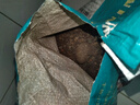 船长多肉营养土专用颗粒土种植养花盆栽通用彩石泥炭花土壤铺面石 成株土50%颗粒土【5斤】 实拍图