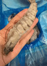 京东超市海外直采泰国活冻白虾/女王虾400g(40/50规格)16-20只/盒 实拍图