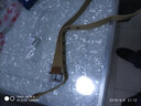 名格雅顿帆布腰带男女士通用休闲牛仔裤针扣皮带户外青少年学生 卡其色 125cm 实拍图
