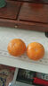沃柑头茬薄皮桔子当季新鲜水果橘子10斤整箱批发酸甜爆汁皮薄肉厚 小果（单果55-65mm） 1斤带箱 实拍图