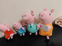 小猪佩奇玩偶毛绒玩具陪睡玩偶安抚公仔娃娃3岁女孩玩具抱睡女生生日礼物 实拍图