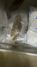 皇家麒麟 即食海参 即食大连刺参单个装辽刺参海参干货水产礼盒净含量500g 7A鲜食海参 8-12只/斤-家庭首选 五斤装【性价比高】 实拍图