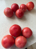 京鲜生 山东普罗旺斯西红柿 净重3斤 单果125g起 沙瓢番茄 源头直发 实拍图