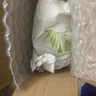 京地达山东精品大白菜 净重4.5斤 1-2颗 时令蔬菜 源头直发包邮 实拍图