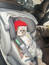 ledibaby乐蒂宝贝婴儿童安全座椅0-6-12岁汽车用宝宝座椅车载可坐躺新国标 新品 太空舱ProS智能版【远山灰】 实拍图