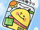金豆芽金银花柚子汁儿童果汁饮品送礼盒装夏天西柚汁饮料100ml*13袋 实拍图