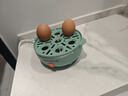 九阳（Joyoung）煮蛋器多功能智能蒸蛋器7个蛋量 ZD7-GE130（飞泉绿） 实拍图