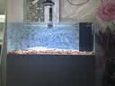 森森（SUNSUN）鱼缸水泵变频水泵潜水泵水族箱过滤器抽水鱼池过滤泵 25W变频 流量可调 带水管 实拍图