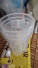 德沃多控根透明花盆10口径*3个园艺绿植盆栽种植盆种菜盆养花多肉塑料盆 实拍图