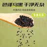 素养生活有机黑芝麻400g 芝麻 生黑芝麻 黑芝麻糊原料 无添加 五谷杂粮 实拍图