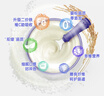 亨氏（Heinz）铁锌钙米粉400g【2盒装】婴幼儿6-12个月高铁辅食维生素D宝宝营养 实拍图