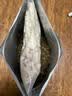 阿飞和巴弟幼猫奶糕猫粮离乳期E76kids羊奶粉鸡肉通用粮尝鲜60g 实拍图