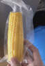佳农东北黄糯玉米棒8袋*220g 软糯香甜 真空锁鲜 源头直发 礼盒包邮 实拍图