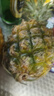 广东徐闻香水菠萝新鲜水果生鲜热带孕妇水果整箱包邮 1个装 单果1.3-1.5斤 实拍图
