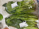 大菠菜300g 实拍图