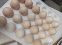 京鲜生【供港品质】【每日鲜蛋】无抗谷物鸡蛋30枚3.78斤当日产蛋当日发 实拍图
