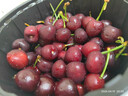 松筱车厘子樱桃【顺丰/JD-多地次日达】大连美早大樱桃新鲜水果送礼物 3斤(净重) 果王3J级30-32mm 实拍图