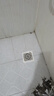 莱尔诗丹（Larsd）8806B 304不锈钢防臭地漏  防虫防返水防堵地漏深水封过滤网芯 实拍图