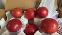 京鲜生陕西泾阳普罗旺斯西红柿净重4.5斤 单果100g起沙瓢番茄源头直发 实拍图