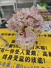 赟娅天然黄水晶发财树摆件紫水晶招财树办公室工位玄学桌面装饰品好物 【脱单】粉水晶桃花树-送挂件 实拍图