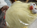 名创优品（MINISO）墩dun鸡系列毛绒公仔玩具卧室教室办公室睡觉抱枕生日礼物小号 实拍图