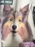 网易严选犬粮 全价冻干三拼鸡肉狗粮幼犬成犬小型中大型犬通用金毛 2kg 实拍图