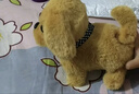 Honey Joy仿真毛绒儿童玩具狗狗会走路会叫电动小狗宠物狗金毛礼物 实拍图
