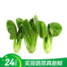 【24小时菜】富硒小油菜200g 实拍图