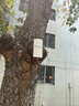 水星（MERCURY）5GHz  867M无线网桥套装（5公里）专业室外标准设计 抱杆安装自带扎带 MWB505S套装 实拍图