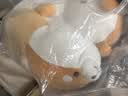名创优品（MINISO）白熊柴犬小猪B-BO弹力柔毛绒公仔玩偶娃娃抱枕玩具生日礼物女520 阿柴长条抱枕（长110cm） 见详情 实拍图