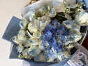 艾斯维娜鲜花速递向日葵混搭花束生日礼物全国同城配送 碎冰蓝玫瑰混搭花束 实拍图
