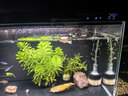 创宁鱼缸石英加热棒 CN-605-50W 低水位乌龟小型迷你自动恒温器 实拍图