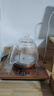金灶（KAMJOVE）涌泉式全自动上水电热水壶 0.8L玻璃烧水壶 智能保温恒温电茶壶 H7 实拍图