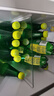 Perrier氼颂家巴黎水 法国进口气泡水 0糖0卡天然矿泉水 柠檬味500ml*24 实拍图