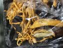 菌菇煲汤组合180g（羊肚菌+鸡枞菌+赤松茸+虫花草） 实拍图