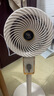 钻石牌（DIAMOND）电风扇空气循环扇落地扇家用风扇涡轮换气扇对流风扇落地节能轻音机械款YY 实拍图