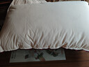 水星家纺枕头枕芯酒店枕头护颈枕头芯家用单个纯棉抗菌可水洗低枕48x74cm 实拍图