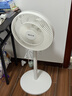 先锋(SingFun)家用电风扇落地扇米白风扇节能宿舍小风扇台地扇空气循环扇静音大风量风扇DLD-D17 实拍图