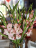 粉红色剑兰节节高鲜花年宵花广州发春节装饰情人节礼物长65-70cm 粉色剑兰8支 实拍图