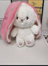尚韵儿童情人节新年生日礼物女生草莓兔子玩偶娃娃毛绒玩具女孩公仔 实拍图