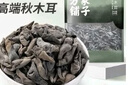 方家铺子中华老字号 七星东北御品秋木耳500g 黑木耳小碗耳肉厚无根干木耳 实拍图