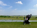 Stokke【杨祐宁同款】YOYO3 6+ 全能型推车折叠遛娃轻便婴儿车可坐可躺 【狂野系列】YOYO3 6+豹纹坐垫 黑色车架 实拍图