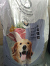 朗仕狗粮 金毛萨摩耶边牧德牧狗粮中大型通用 成犬全价狗粮20kg/40斤 实拍图