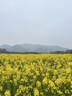 ALittleFlower【热销600W+防窥膜】适用苹果15plus防窥钢化膜iPhone15 plus手机膜保护膜防偷窥膜防摔抗指纹 实拍图