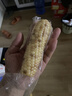 京鲜生云南花糯小玉米3斤 精选小花糯甜糯玉米棒 新鲜蔬菜 源头直发包邮 实拍图