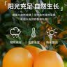 土八鲜赣南早熟橙子纽荷尔鲜橙新鲜水果脐橙手剥甜橙礼盒 净重9-10斤（单果150-180g） 实拍图