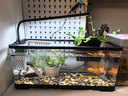 阔庭（KUOTING）鱼缸水族箱客厅桌面生态造景家用带灯制氧过滤鱼缸黑色【大号】 实拍图