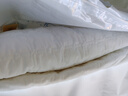 博洋家纺全棉夹棉床笠抑菌可水洗席梦思保护床褥子防尘床罩180*200cm 实拍图